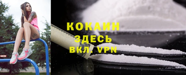 мескалин Гусев