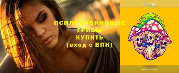 mdpv Володарск