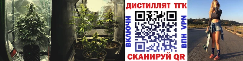 ТГК жижа  Купить  Кировград 