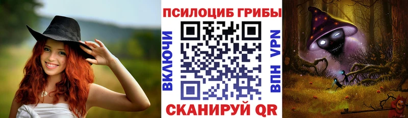 Купить закладки Кировград Псилоцибиновые грибы прущие грибы